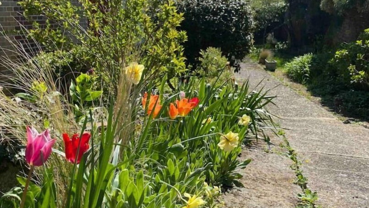 Photo of Outdoor in Pourville-sur-Mer