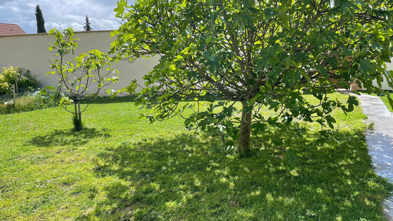 Photo of Outdoor in La Suze-sur-Sarthe