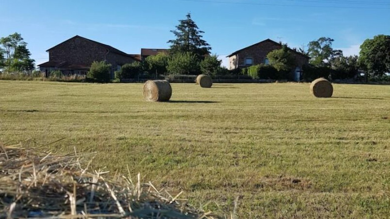 Photo of Others in Saint-Jean-Saint-Maurice-sur-Loire