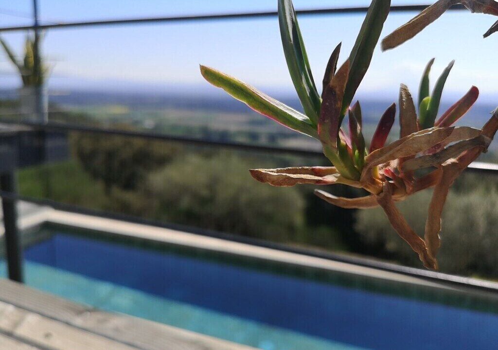 Photo of Others in Saint-Restitut