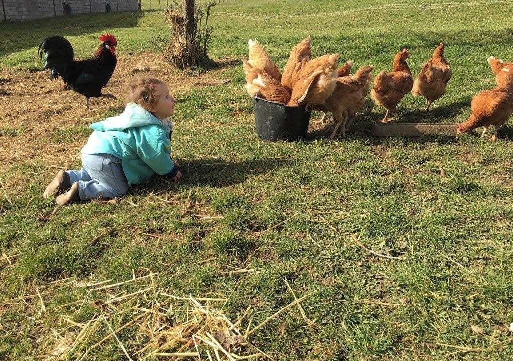 Photo of Outdoor in Aromas