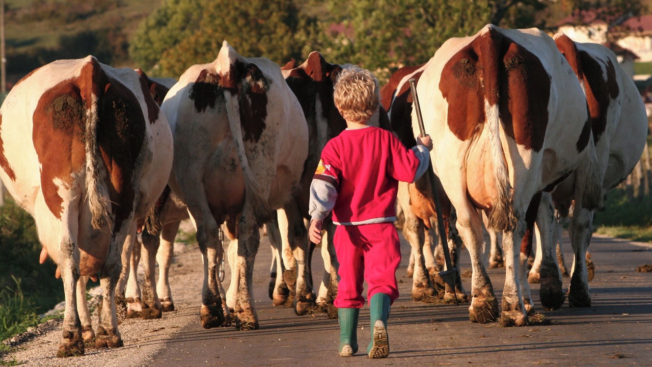 Photo of Others in Aromas