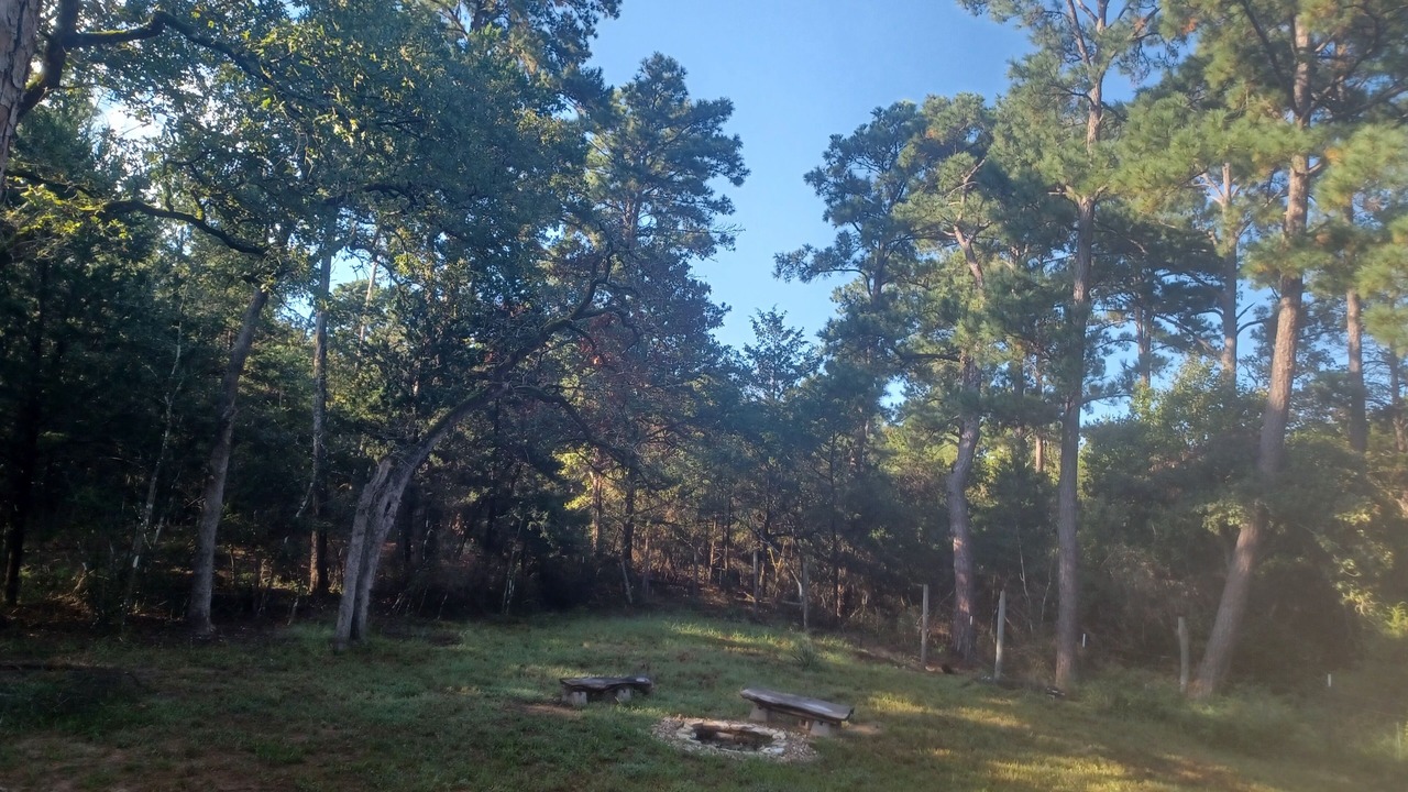 Photo of Outdoor in Smithville