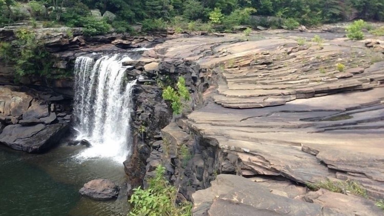 Photo of Others in Fort Payne