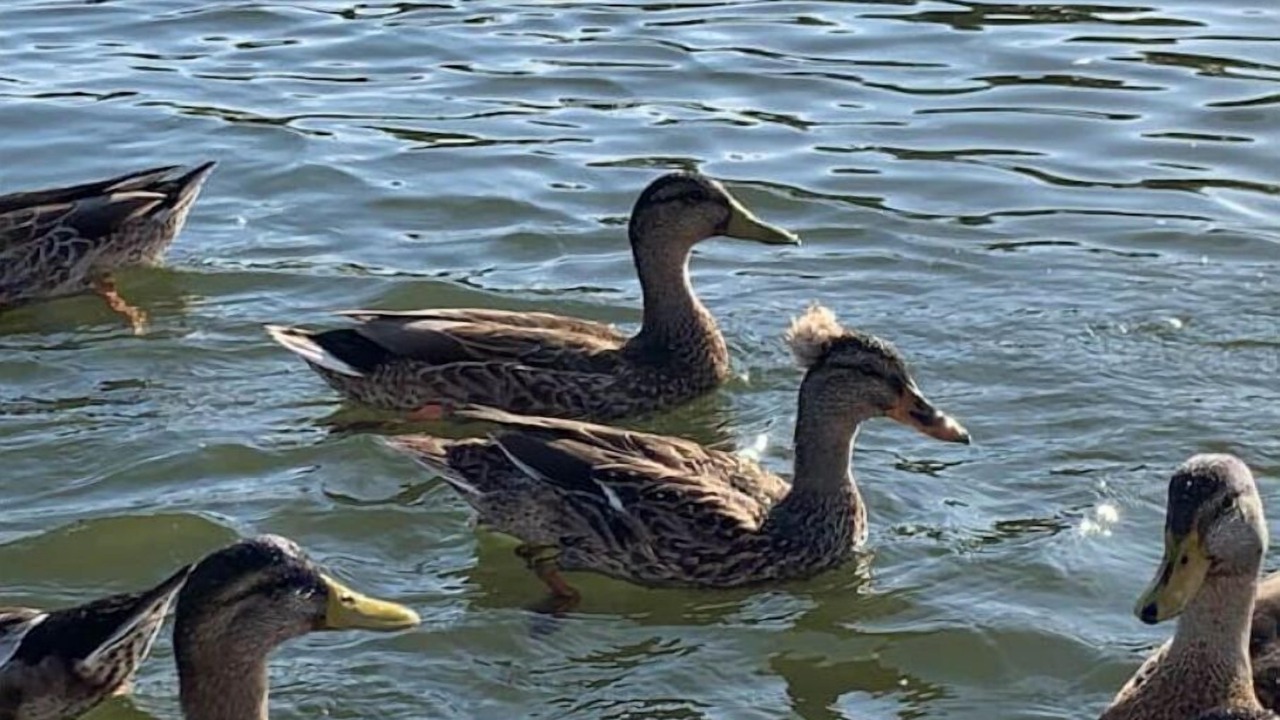 Photo of Others in Catskill