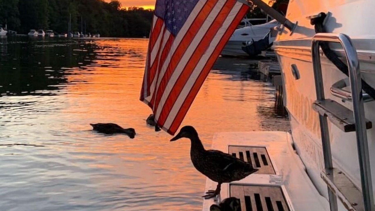 Photo of Others in Catskill