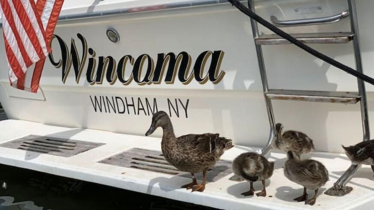 Photo of Others in Catskill