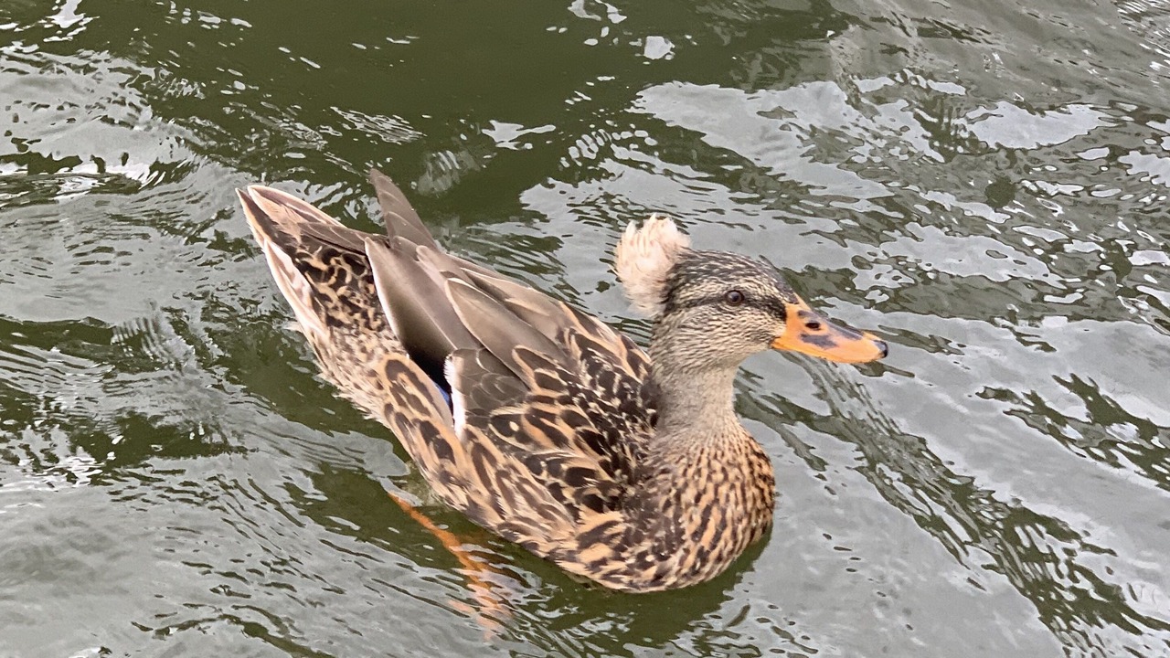 Photo of Others in Catskill