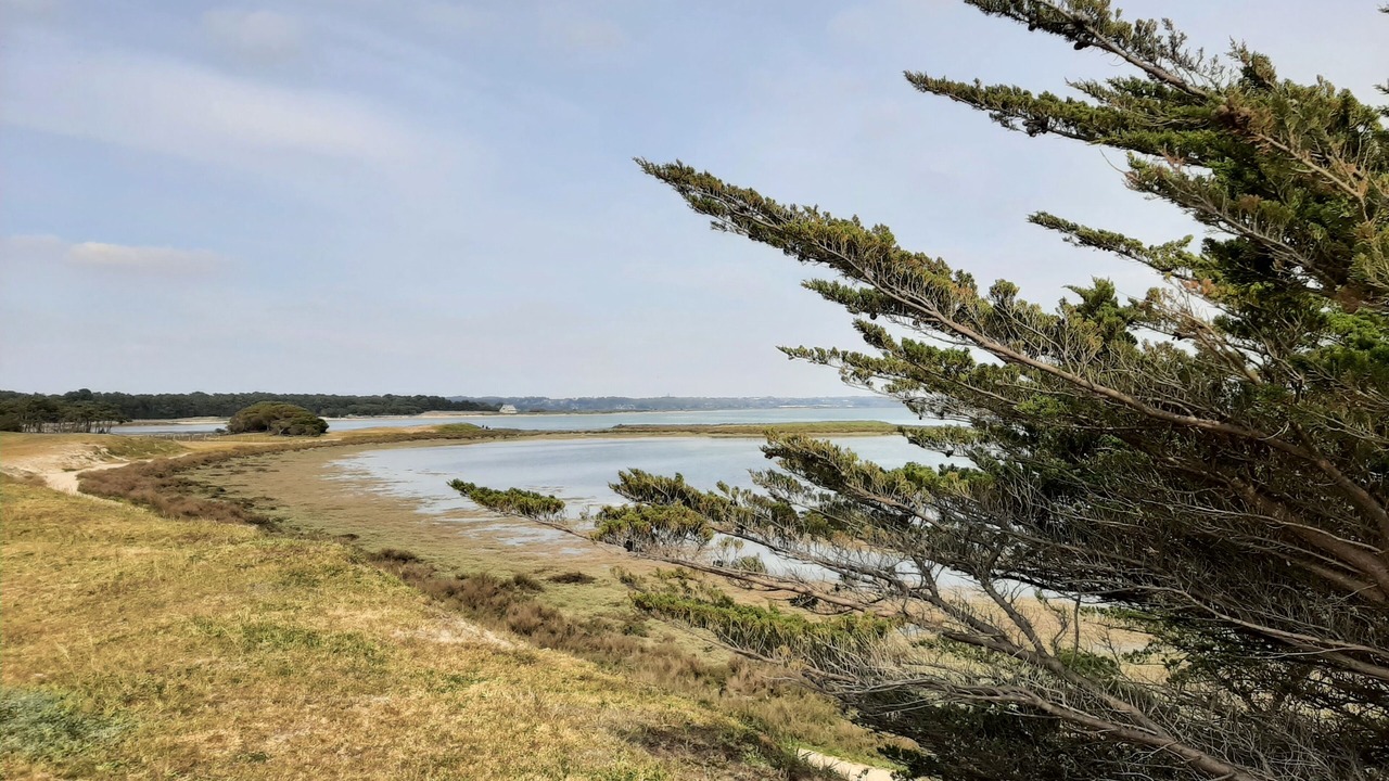 Photo of Others in La Turballe