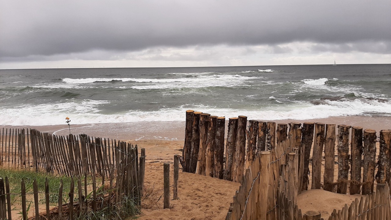 Photo of Others in La Turballe