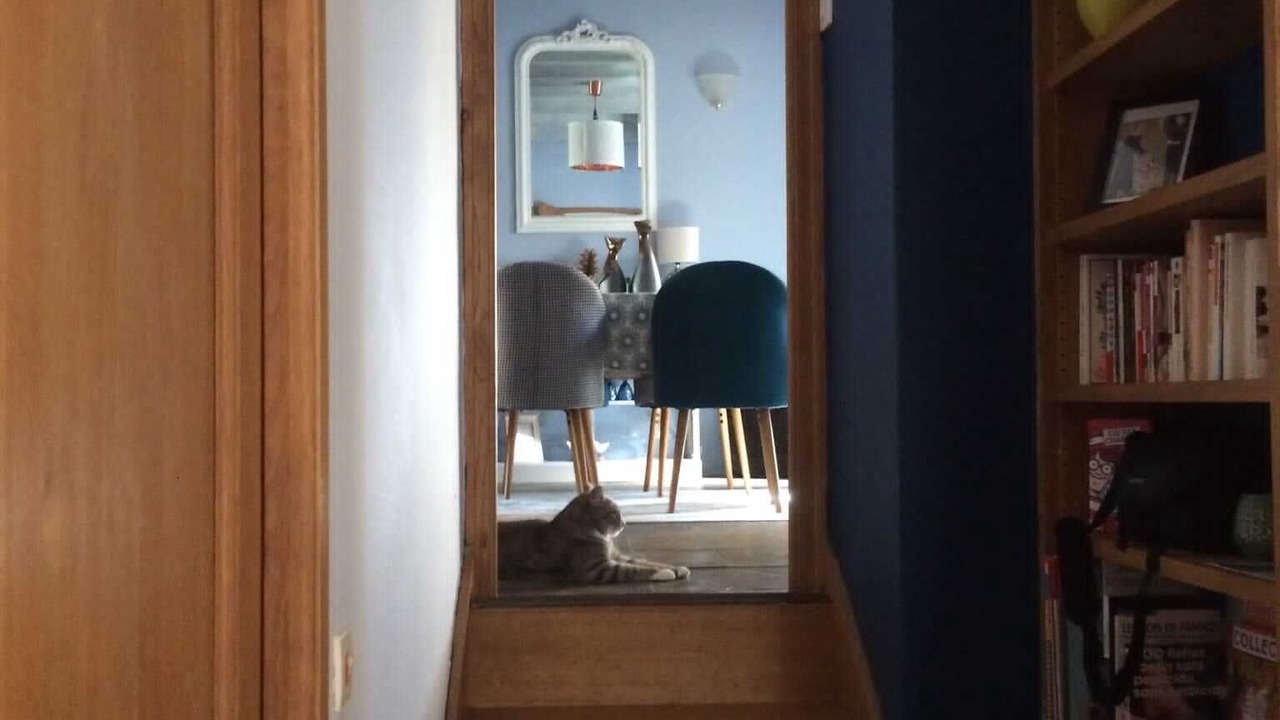 Photo of Others in Berbiguieres