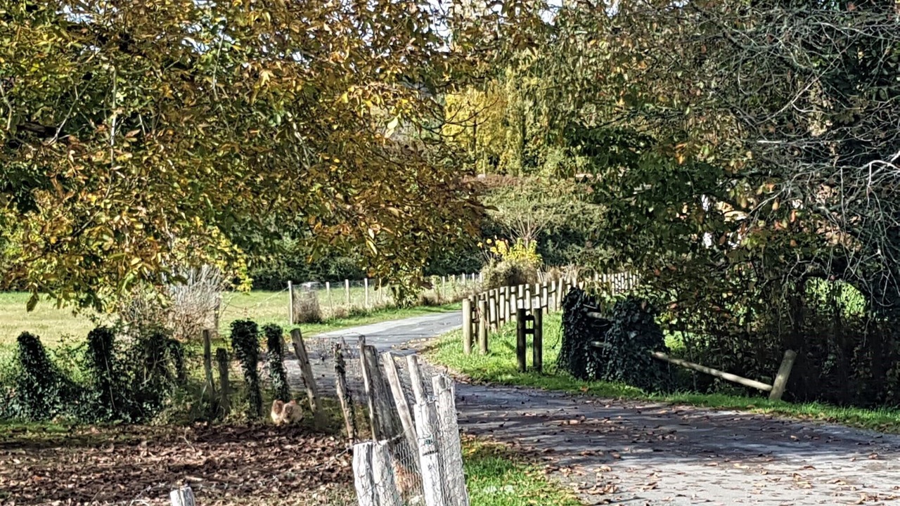 Photo of Outdoor in Berbiguieres