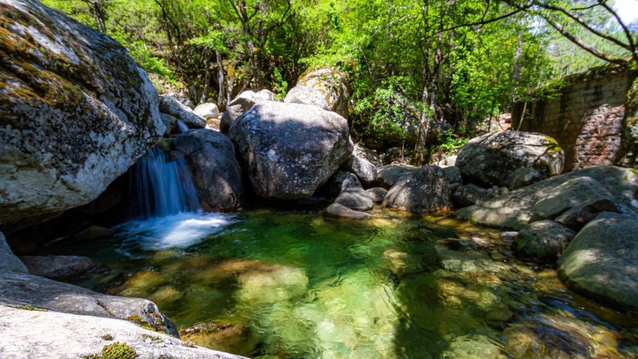 Photo of Others in Favone