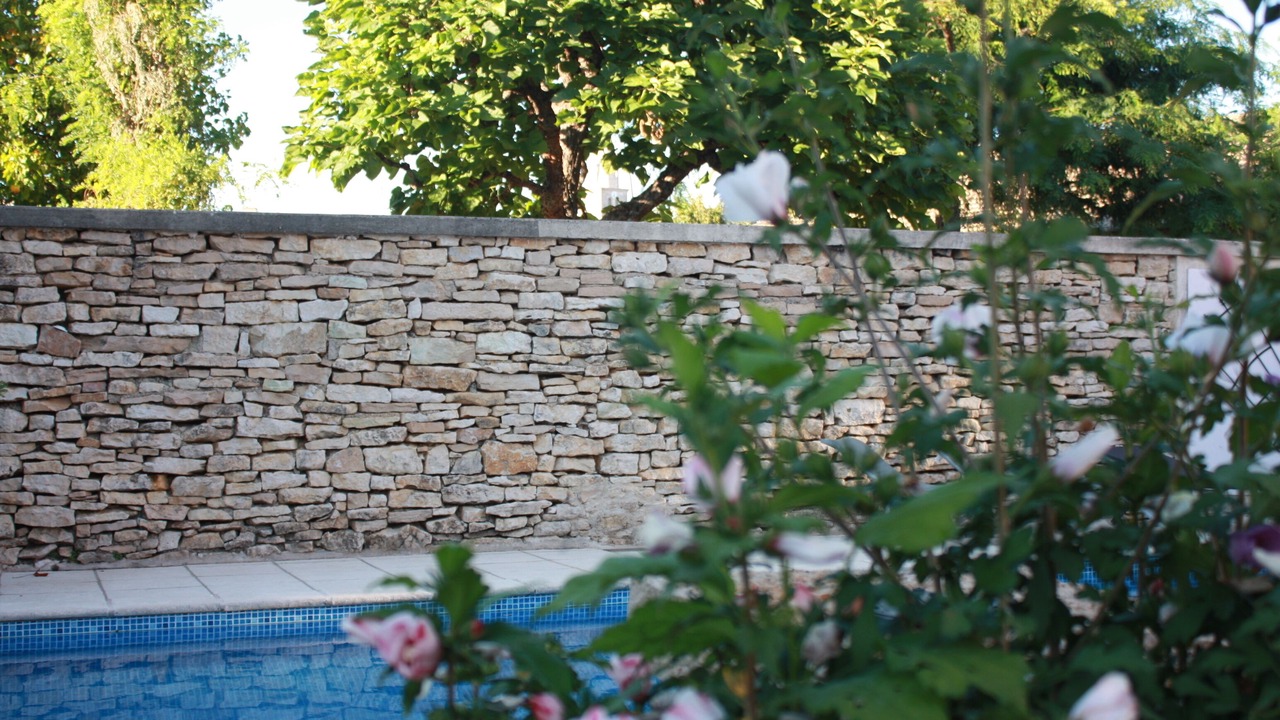 Photo of Outdoor in Meursault