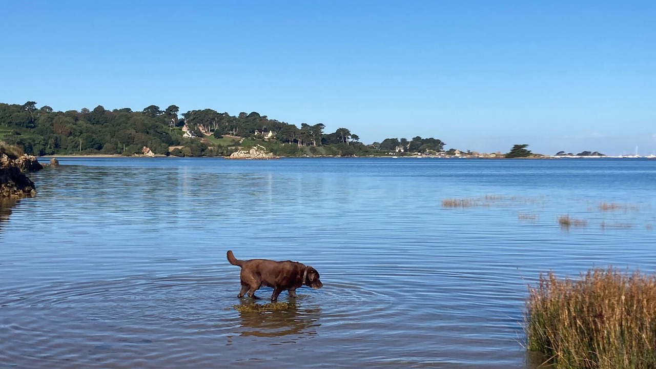 Photo of Others in Penvenan