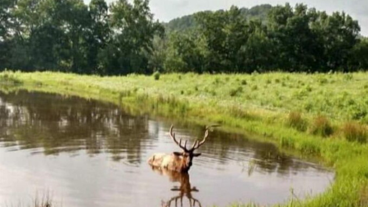 Photo of Outdoor in Winona