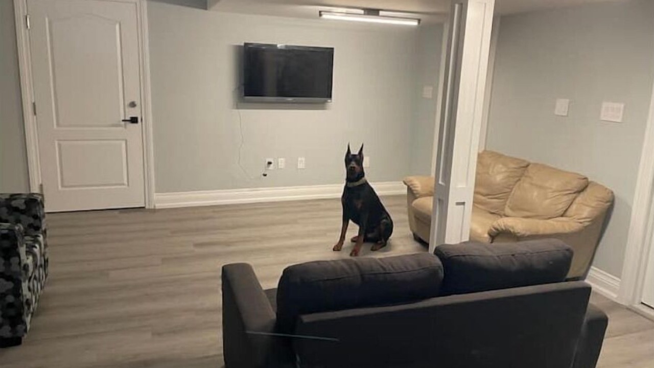 Photo of Livingroom in Oshawa