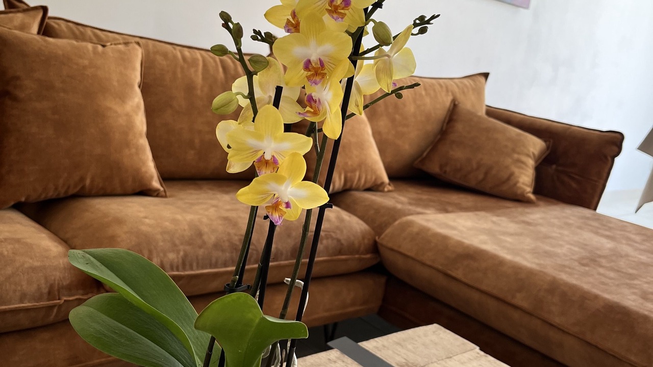 Photo of Livingroom in Malbosc