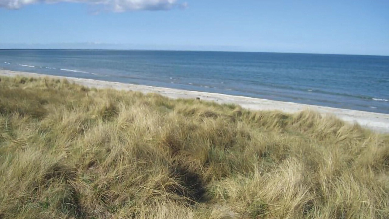Photo of Others in Strandby