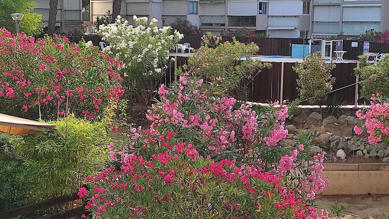 Photo of Outdoor in Port Rive Gauche