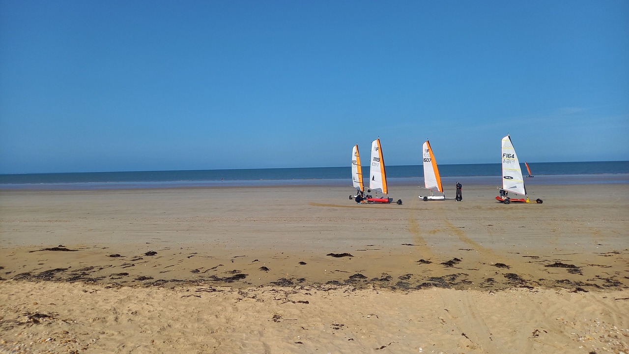 Photo of Others in Notre-Dame-de-Monts