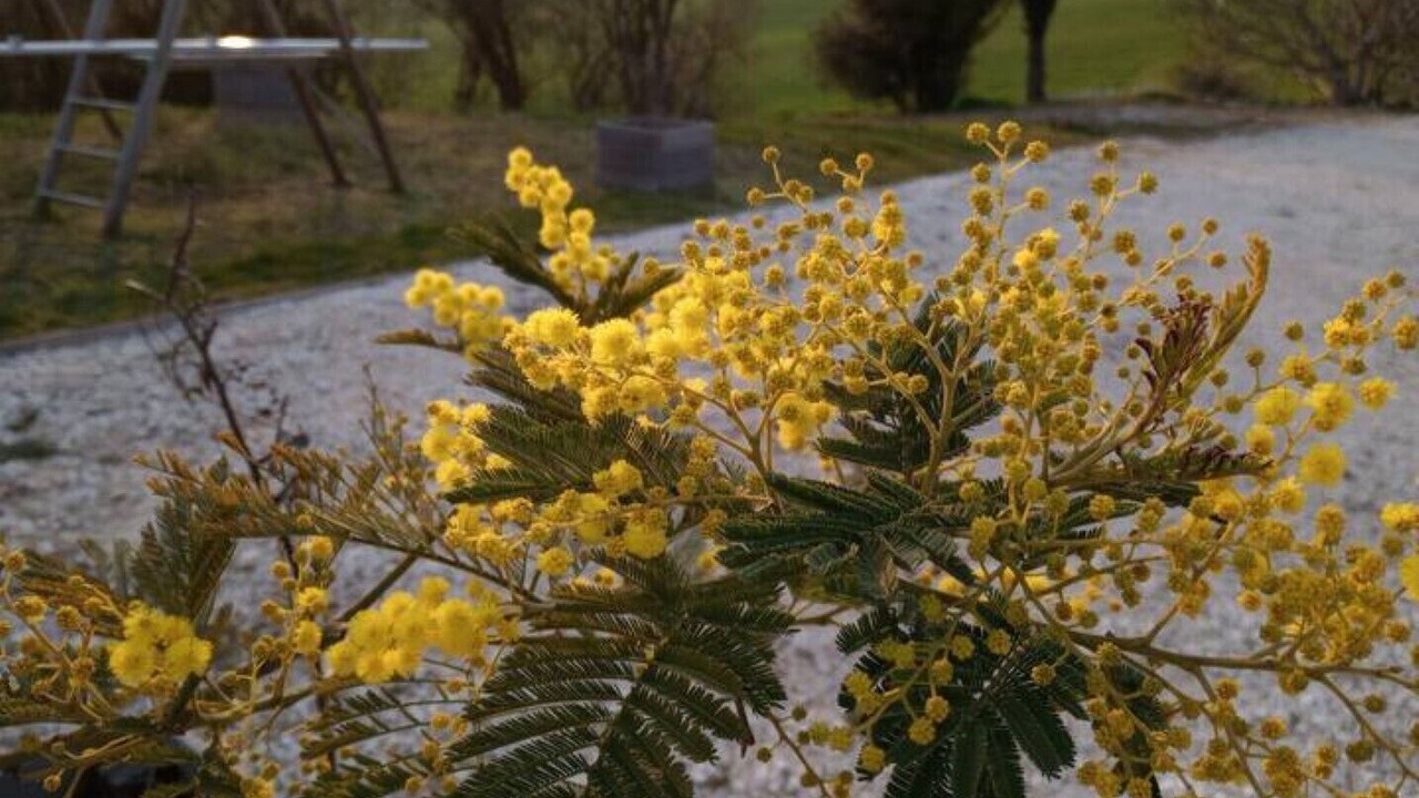 Photo of Outdoor in Nanteuil-de-Bourzac