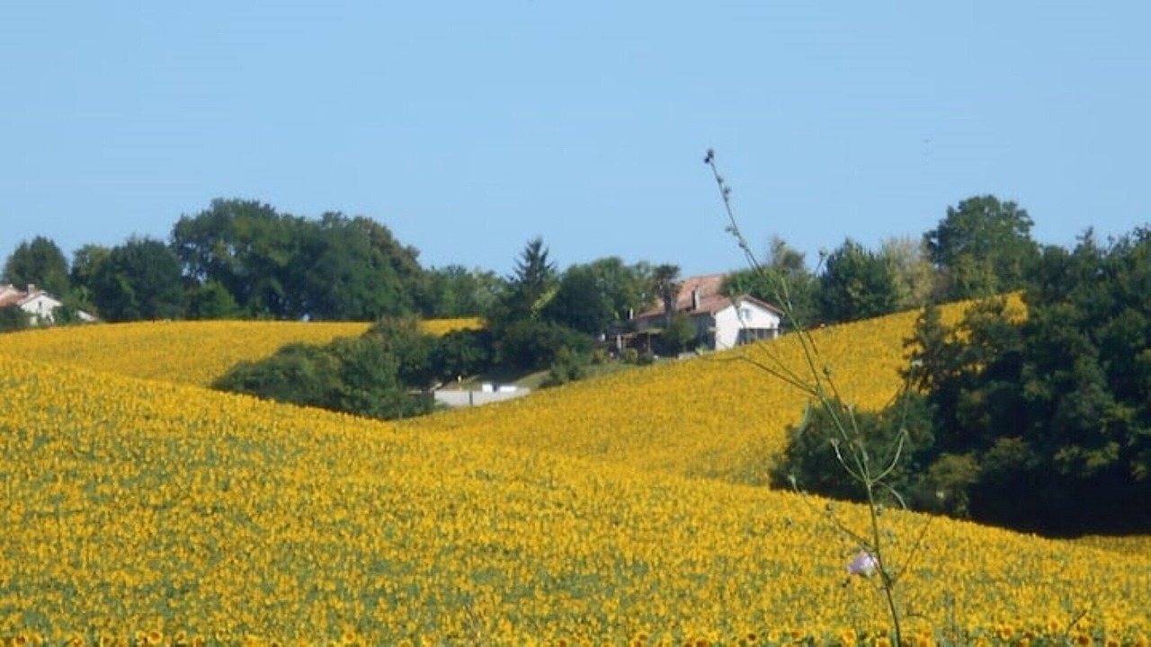 Photo of Outdoor in Nanteuil-de-Bourzac
