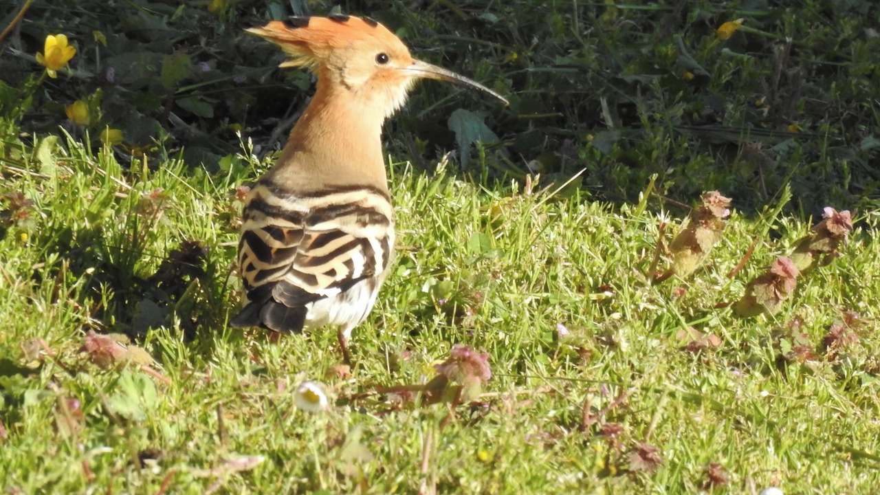 Photo of Others in Maisonnais-sur-Tardoire