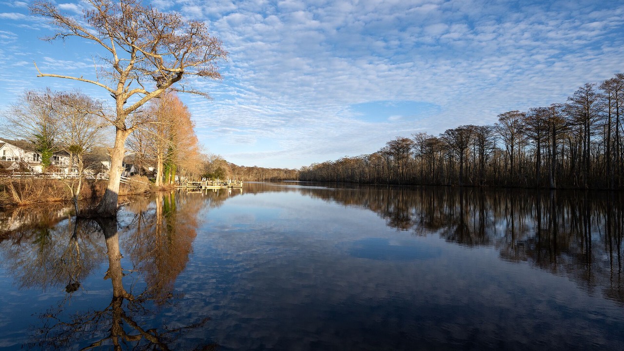 Photo of Others in Pocomoke City