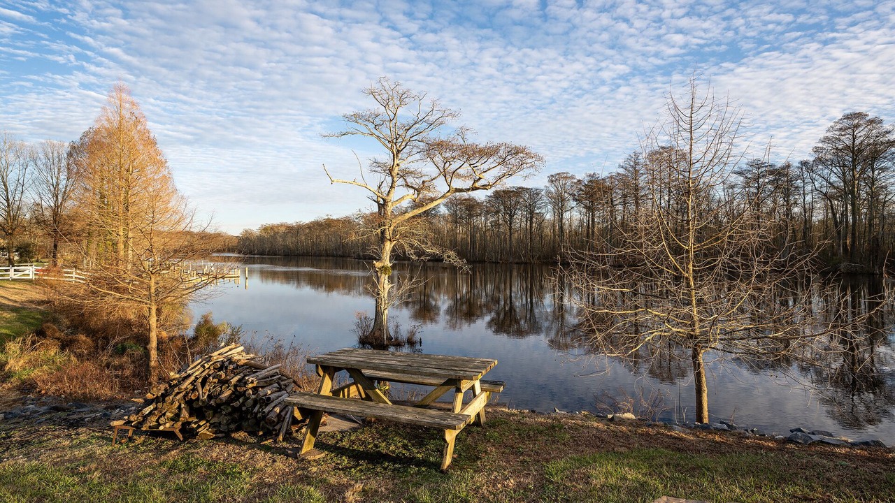 Photo of Others in Pocomoke City