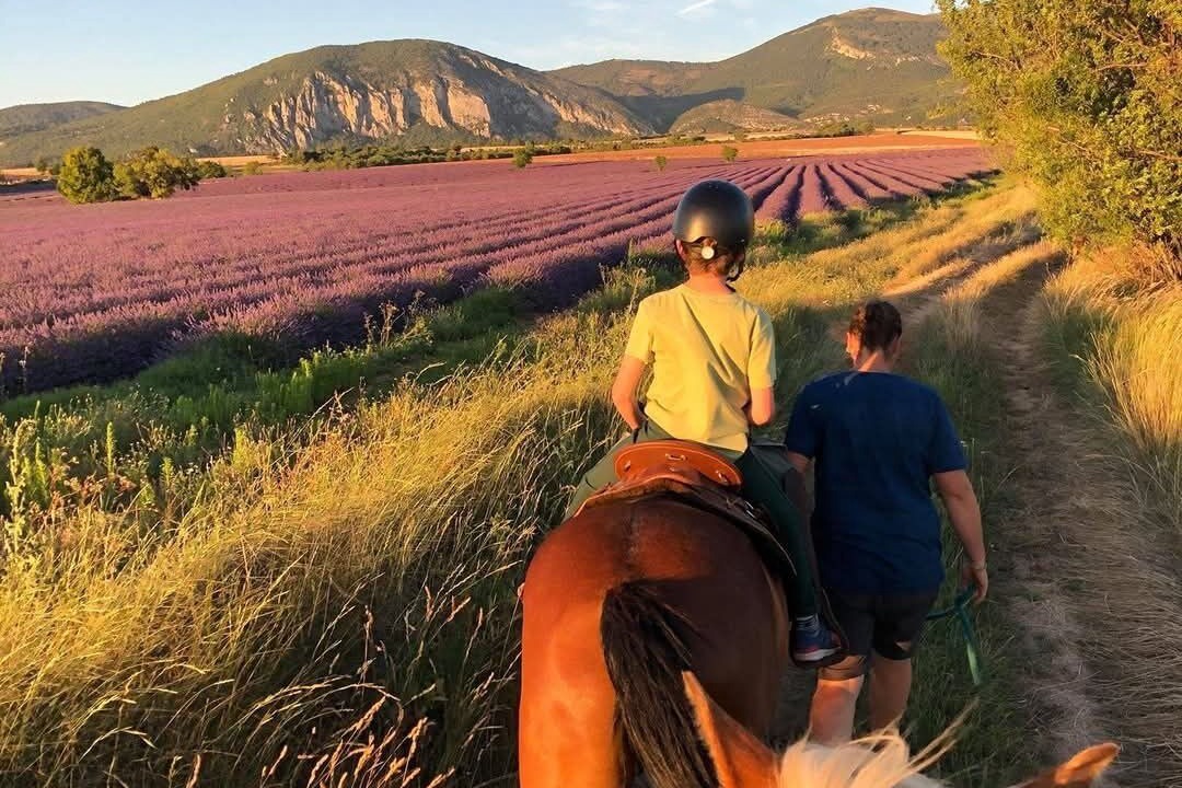Photo of Others in Saint-Jurs