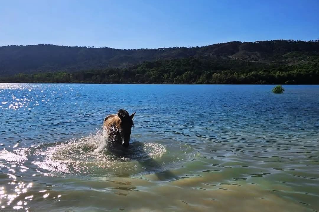 Photo of Others in Saint-Jurs