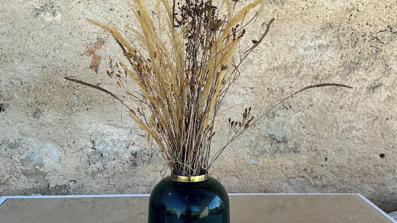 Photo of Others in Saint-Jurs