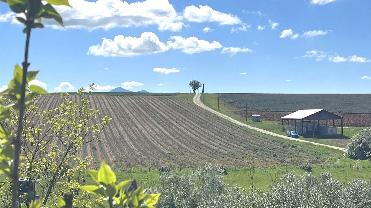 Photo of Others in Saint-Jurs