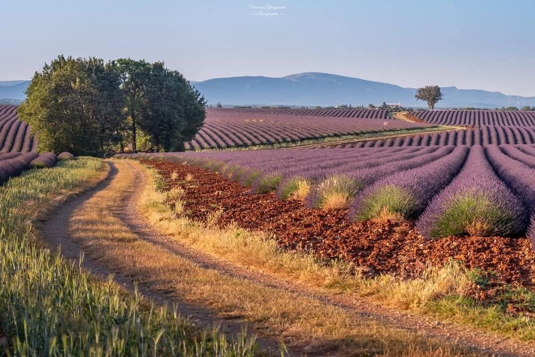 Photo of Others in Saint-Jurs