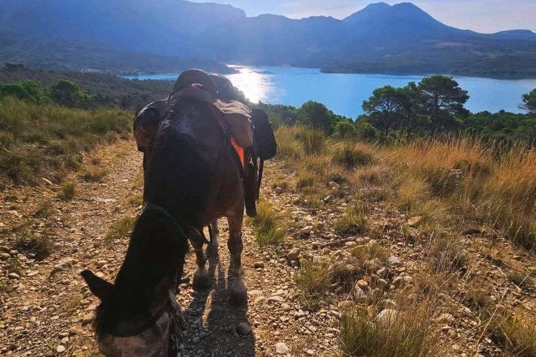 Photo of Others in Saint-Jurs