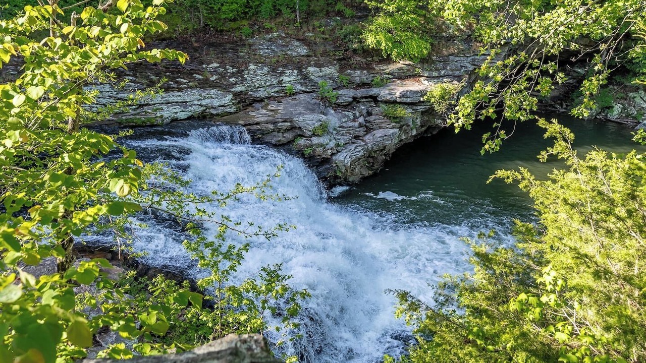 Photo of Others in Fort Payne