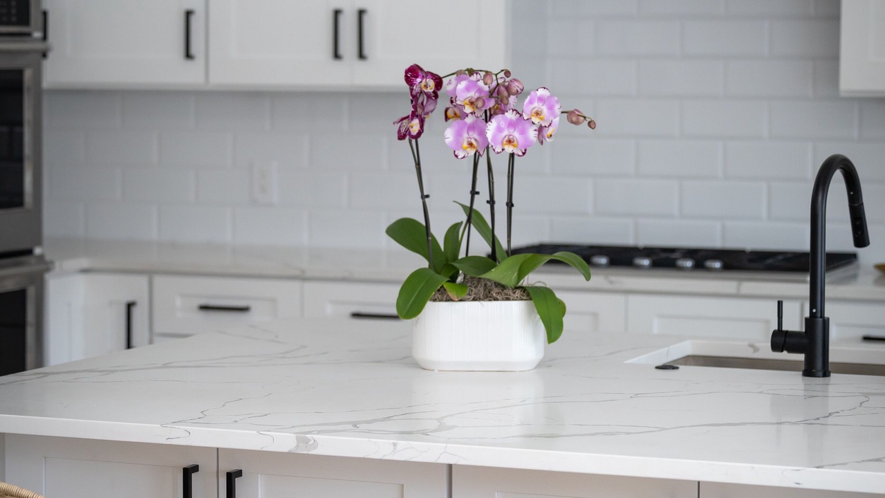 Photo of Kitchen in Plano