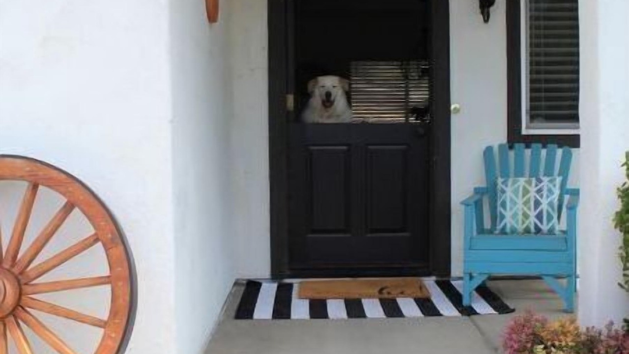 Photo of Outdoor in Fallbrook