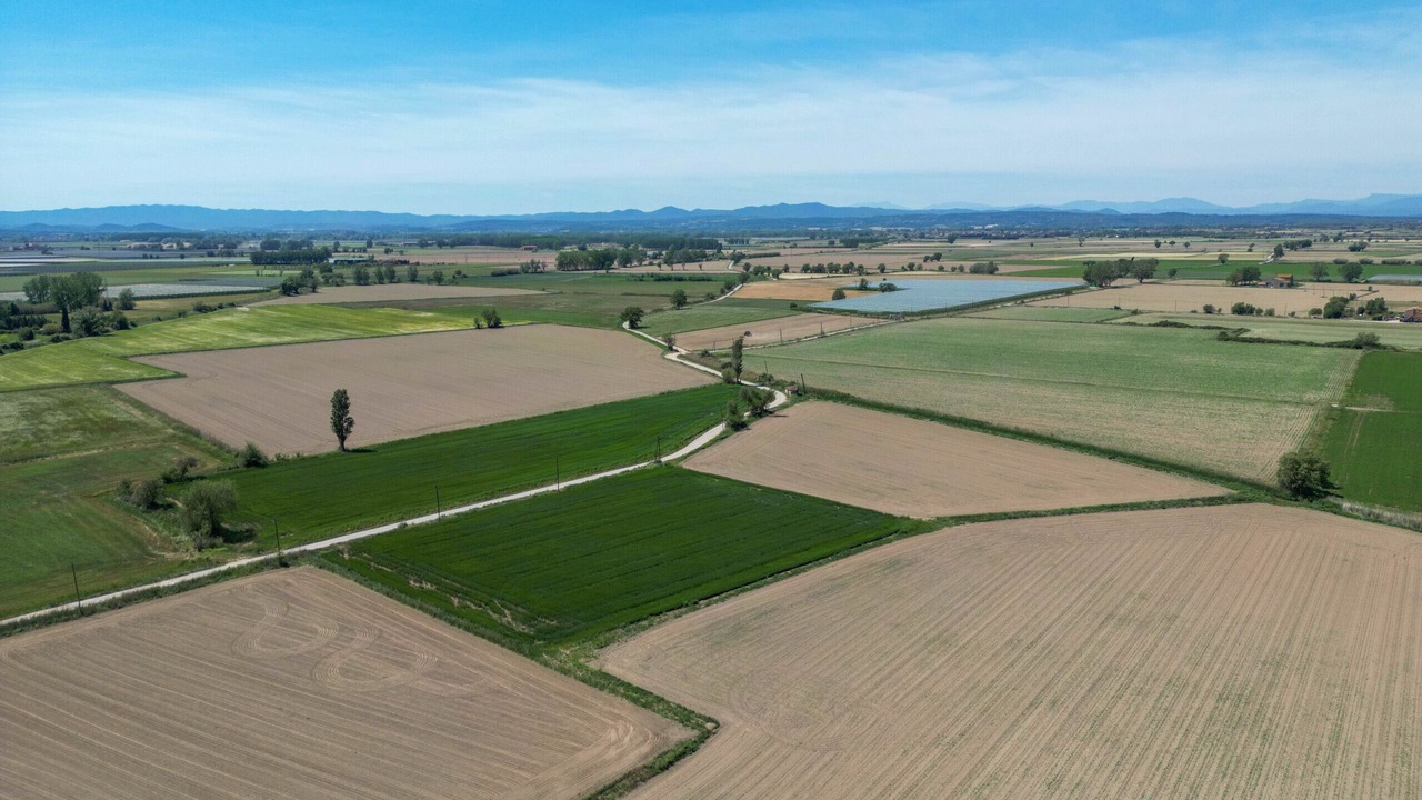 Photo of Others in Bellcaire d'Emporda