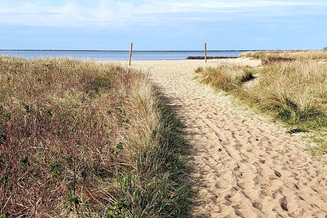 Photo of Others in Hyannis