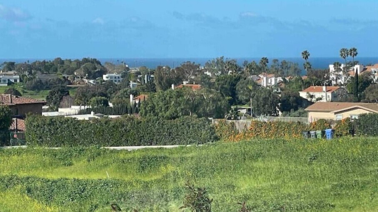 Photo of Outdoor in Central Malibu