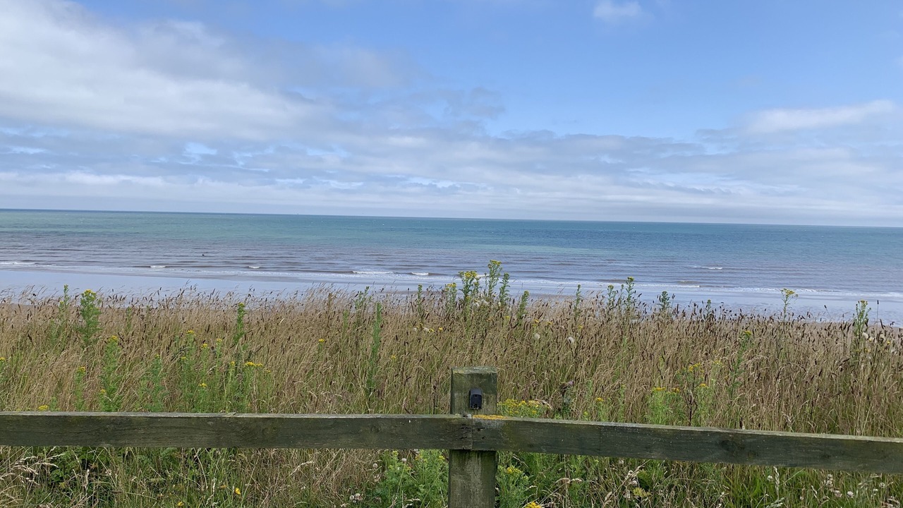 Photo of Others in Barmston