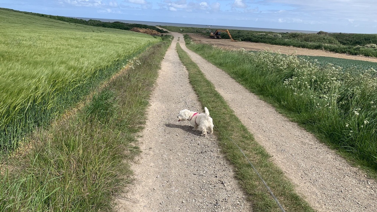 Photo of Others in Barmston