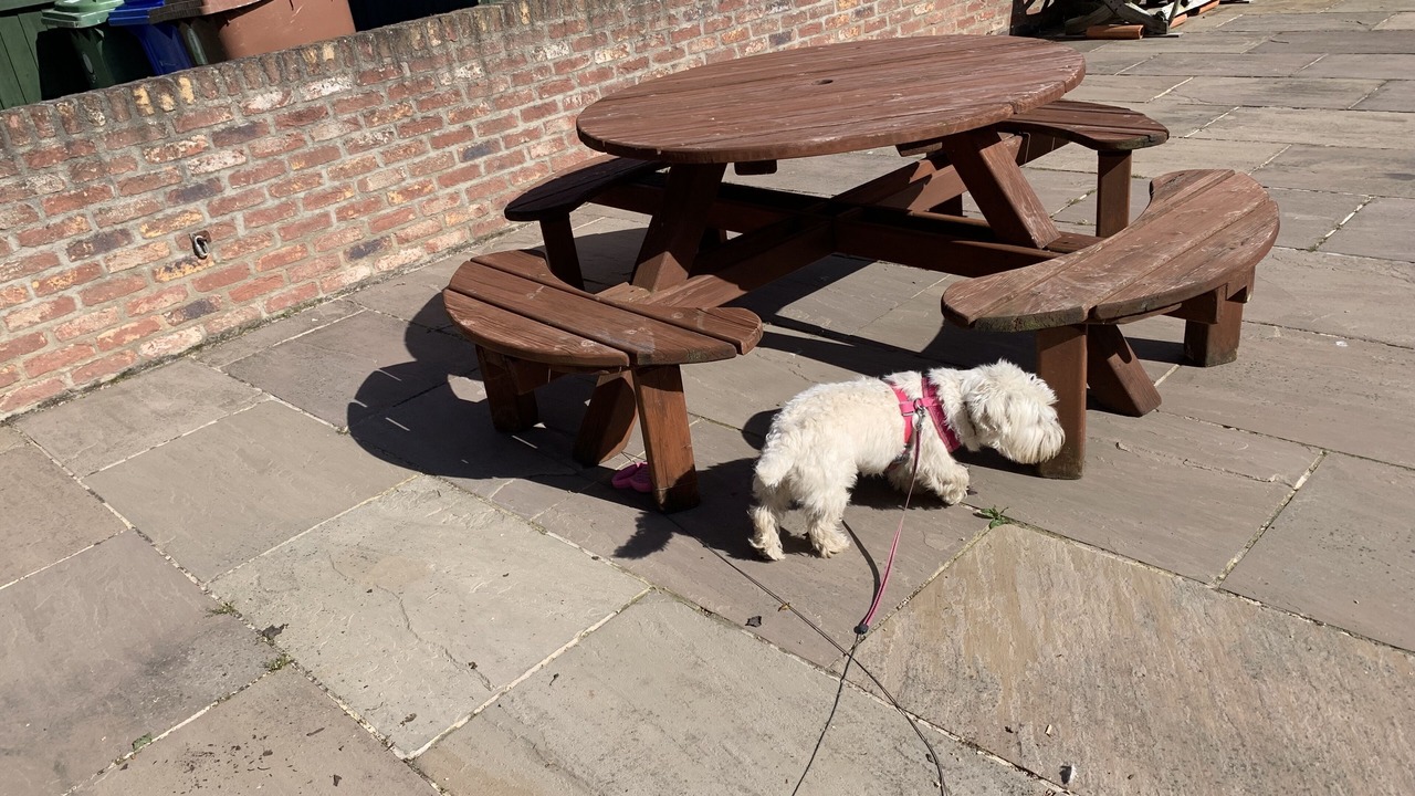 Photo of Others in Barmston