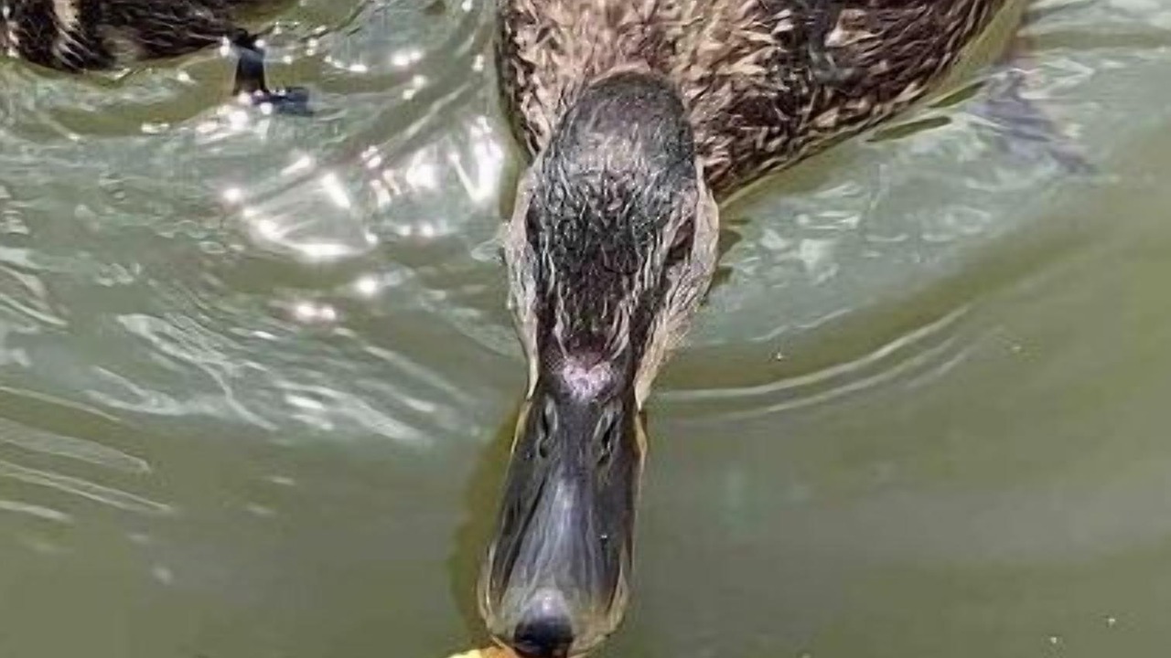 Photo of Others in Catskill