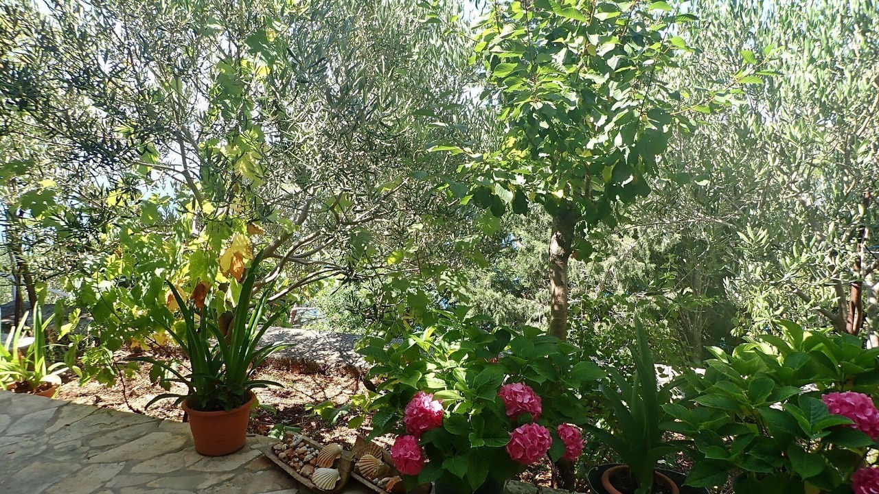 Photo of Outdoor in Baric Draga