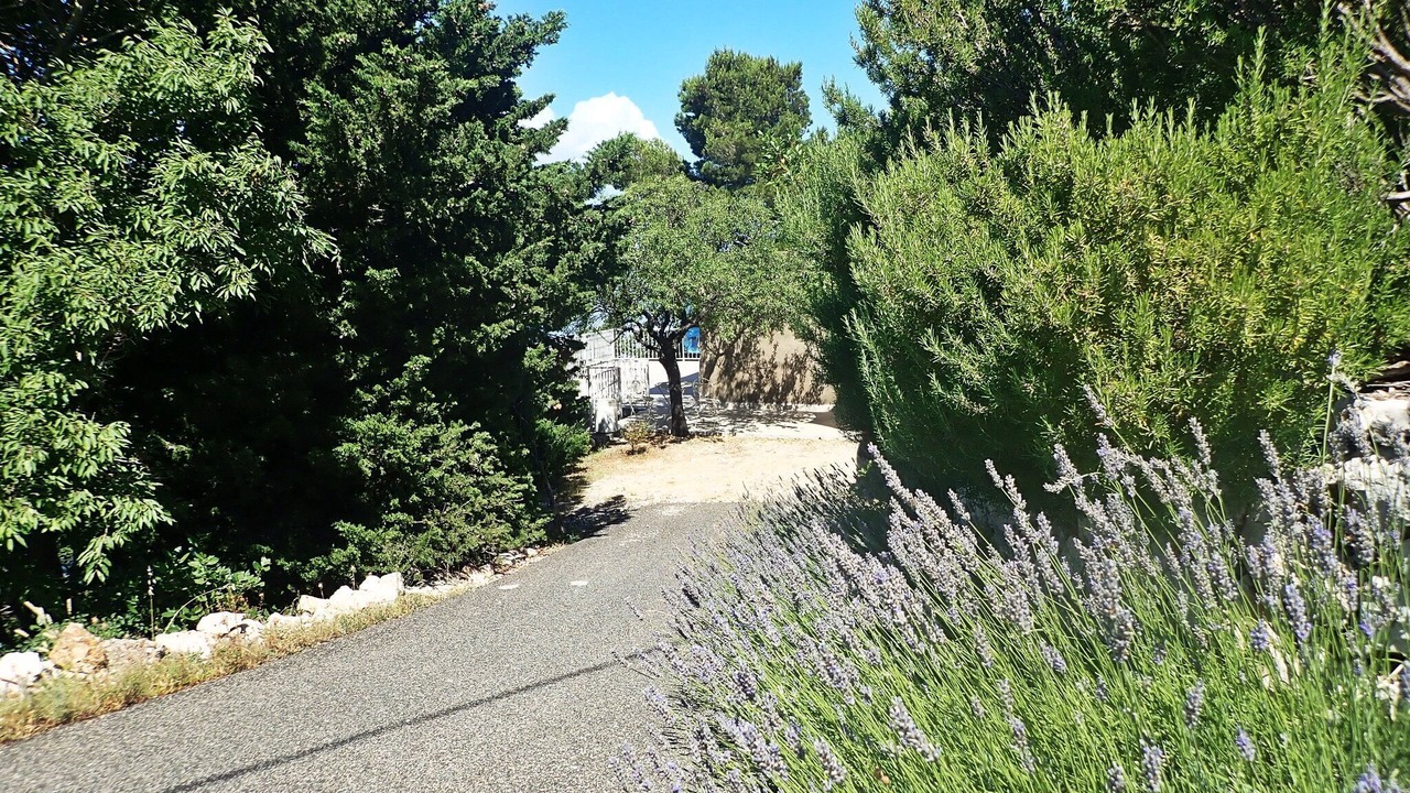 Photo of Outdoor in Baric Draga