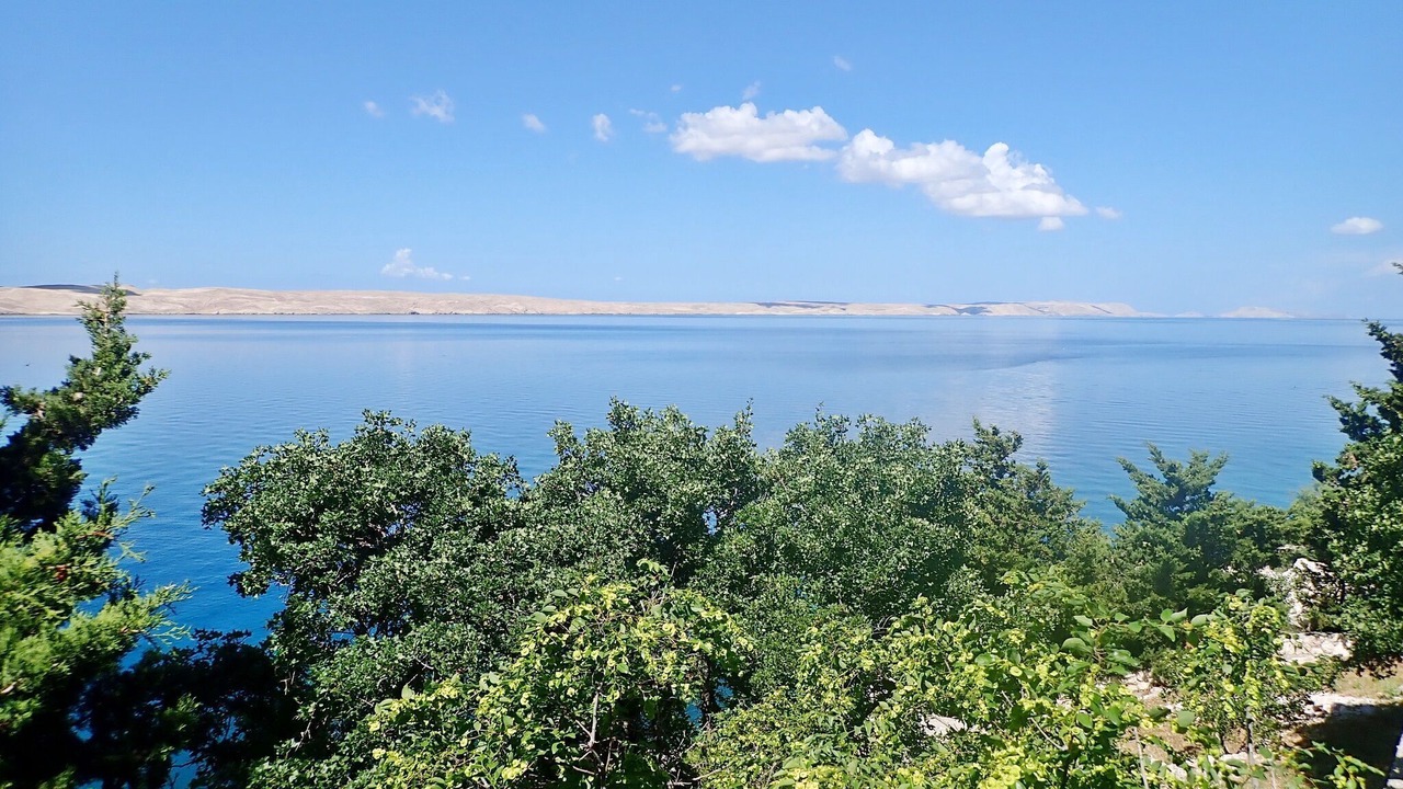 Photo of Others in Baric Draga