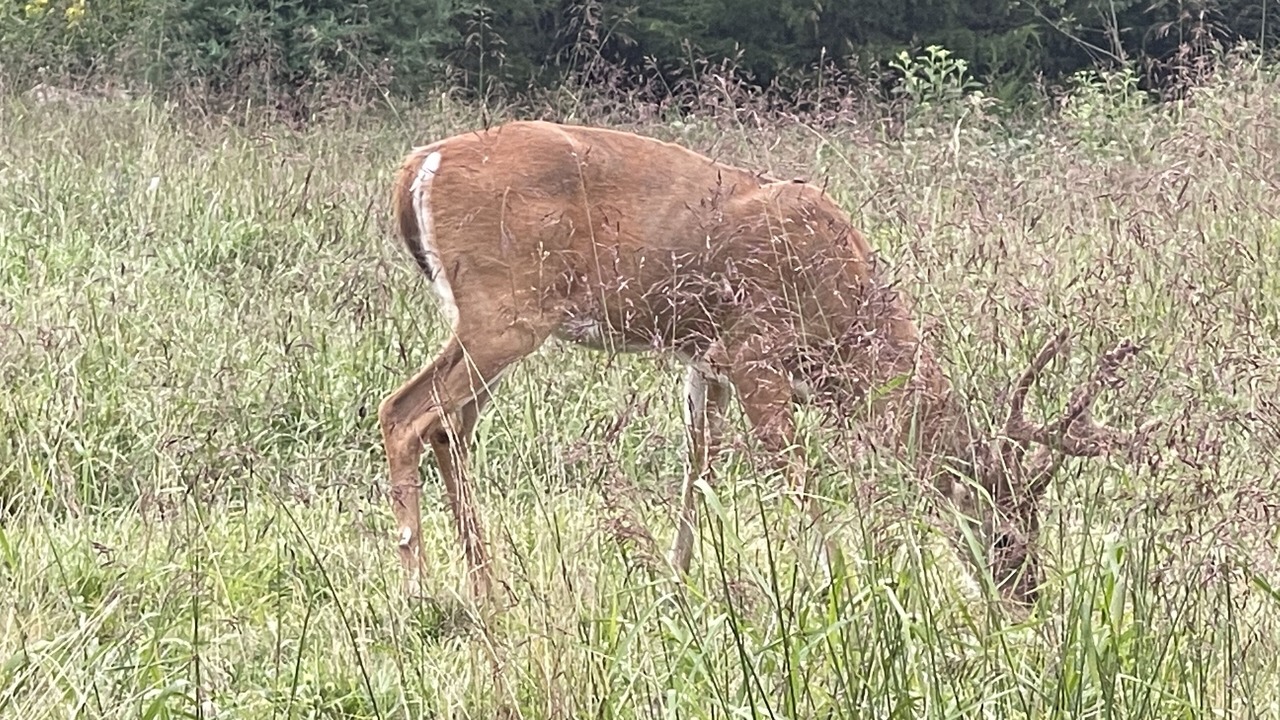 Photo of Outdoor in Kaiser